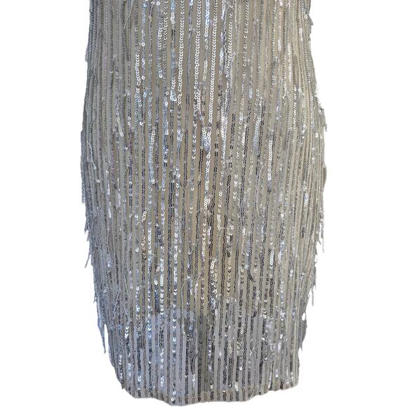 NWT Francesca's Champagne Sleeveless Sheer Net Fringe Sequin Party Club Dress S - Picture 2 of 11